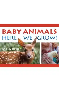 Baby Animals!: Here We Grow - Shelley Rotner