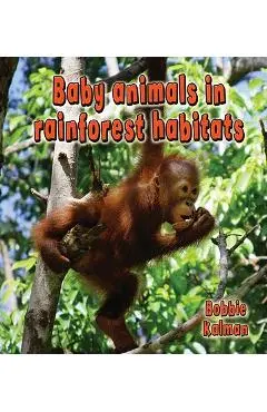 Baby Animals in Rainforest Habitats - Bobbie Kalman