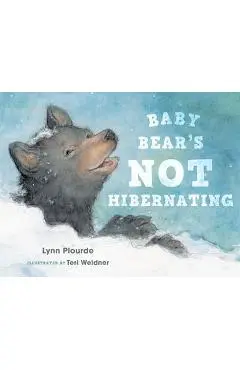 Baby Bear's Not Hibernating - Lynn Plourde