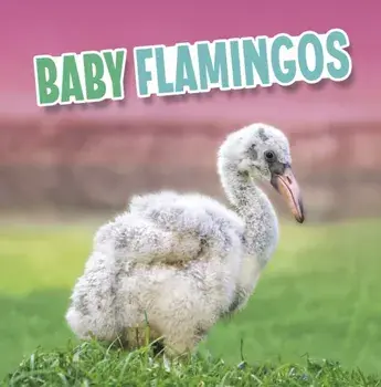 Baby Flamingos, Paperback/***