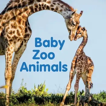Baby Zoo Animals. Board book, Board book/New Holland Publishers
