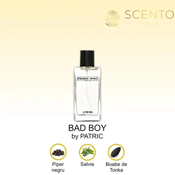 Bad Boy by Patric (C-4) apa de parfum 50ml, barbati