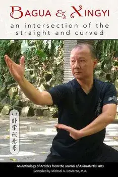 Bagua and Xingyi: An Intersection of the Straight and Curved, Paperback/Allen Pittman