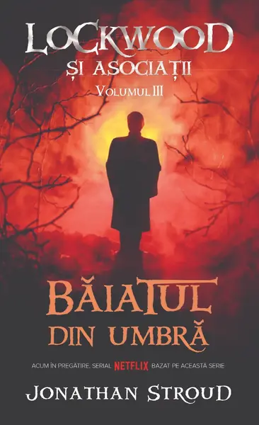 Baiatul din umbra (seria Lockwood si asociatii, vol. 3)
