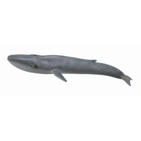 Balena Albastra - Collecta