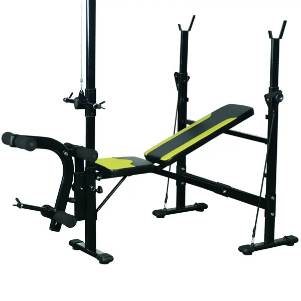 Banca Fitness cu Spatar Reglabil HOMCOM 175x110x202cm | Aosom Romania