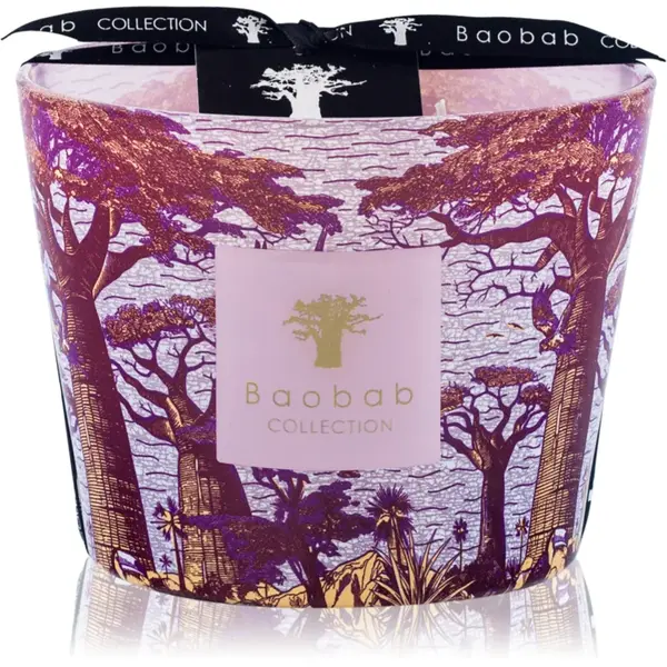 Baobab Collection Sacred Trees Massasso lumânare parfumată 500 g