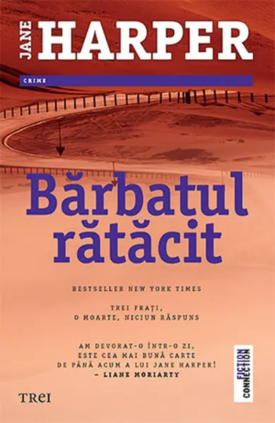 Barbatul ratacit