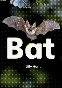 Bat (Set 02), Paperback/Jilly Hunt