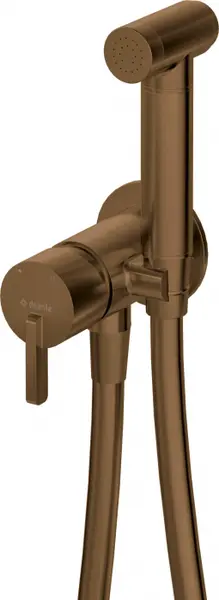 Baterie pentru bideu bronz periat, ingropat, cu dus de mana, Deante Silia