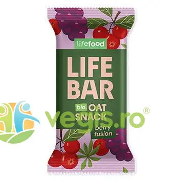 Baton de Ovaz cu Fructe de Padure Ecologic/Bio 40g