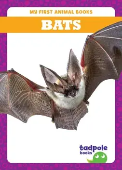 Bats, Hardback/Natalie Deniston