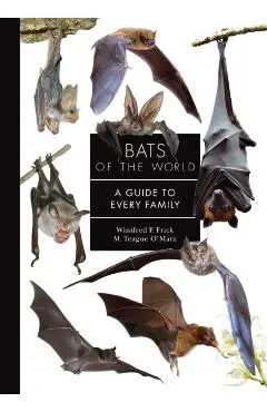 Bats of the World: A Guide to Every Family - Winifred Frick
