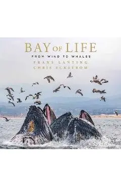 Bay of Life: From Wind to Whales - Frans Lanting