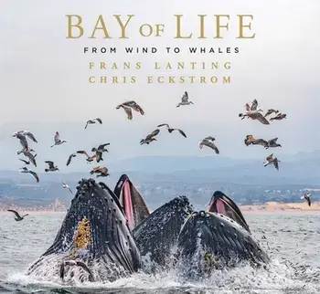 Bay of Life. From Wind to Whales, Hardback/Chris Eckstrom