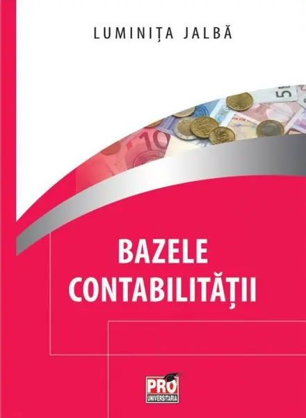 Bazele contabilitatii
