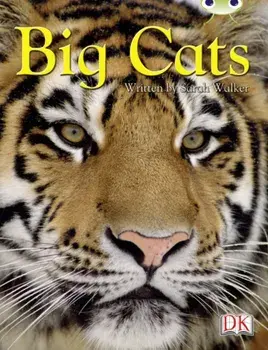 BC NF Brown B/3B Big Cats, Paperback/Sarah Walker