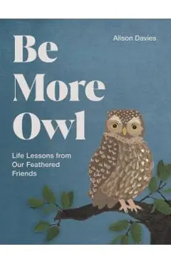 Be More Owl - Alison Davies