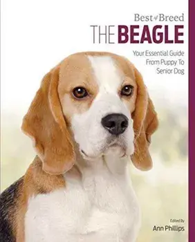 Beagle. Best of Breed, Paperback/Ann Phillips