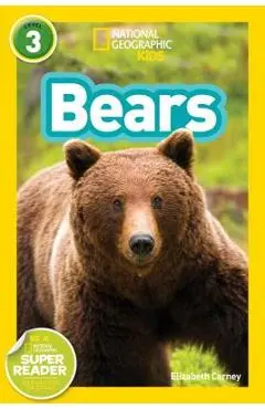 Bears - National Geographic Kids