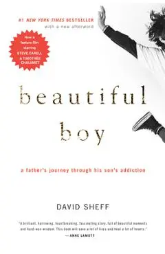 Beautiful Boy: A Father's Journey Through His Son's Addiction - David Sheff