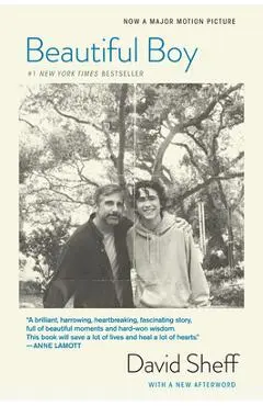 Beautiful Boy (Tie-In): A Father's Journey Through His Son's Addiction - David Sheff