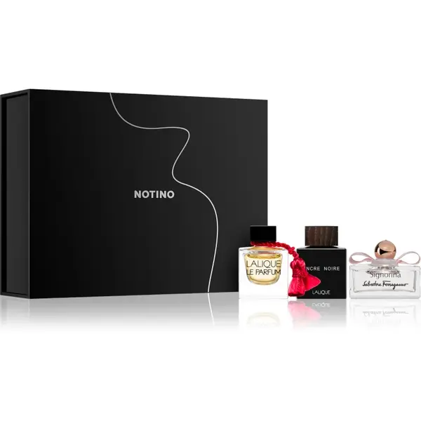 Beauty Discovery Box Exclusive Notino Essence Noire set cadou unisex
