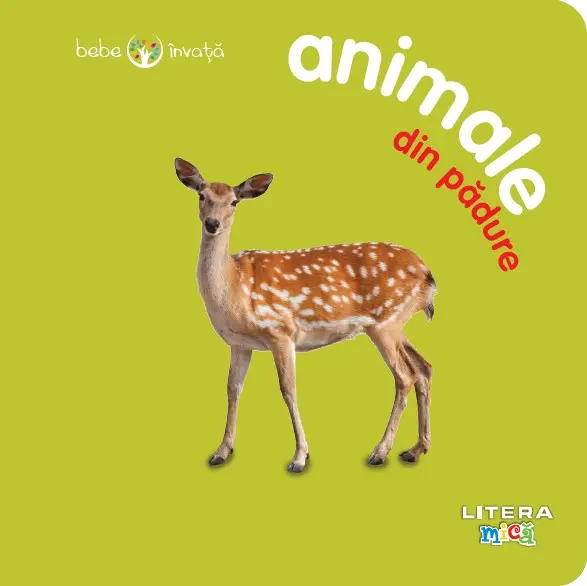 Bebe învață: Animale din pădure