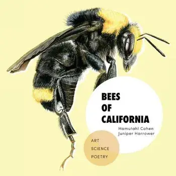 Bees of California: Art, Science, and Poetry, Paperback/Hamutahl Cohen