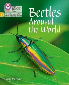 Beetles Around the World. Phase 5, Paperback/Sally Morgan