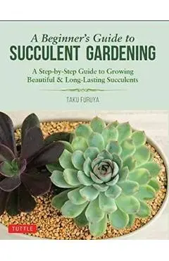 Beginner's Guide to Succulent Gardening