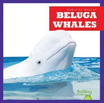 Beluga Whales, Hardback/Katie Chanez