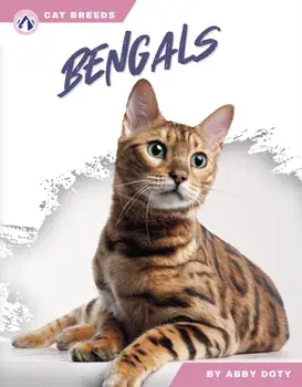 Bengals, Paperback/Abby Doty