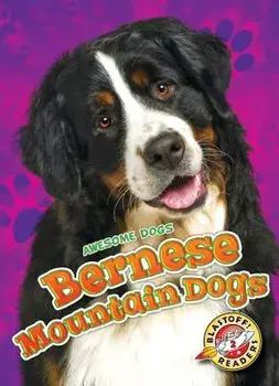 Bernese Mountain Dogs, Hardcover/Rebecca Sabelko