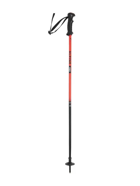 Bete schi Alpine Pro Jr