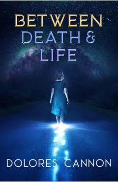Between Death and Life: Conversations with a Spirit (Updated and Revised) - Dolores Cannon