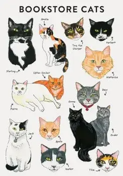 Bibliophile Flexi Journal: Bookstore Cats/Jane Mount