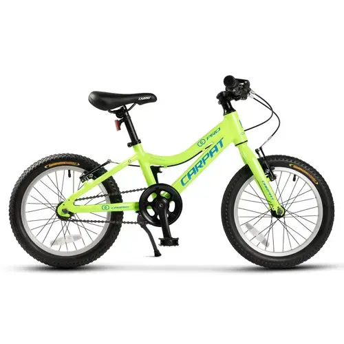 Bicicleta Copii 4-6 ani Carpat C16208C 16inch, Cric, Frane V-Brake, Roti 16 inch, Verde