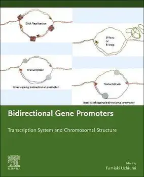 Bidirectional Gene Promoters. Transcription system and chromosomal structure, Paperback/***