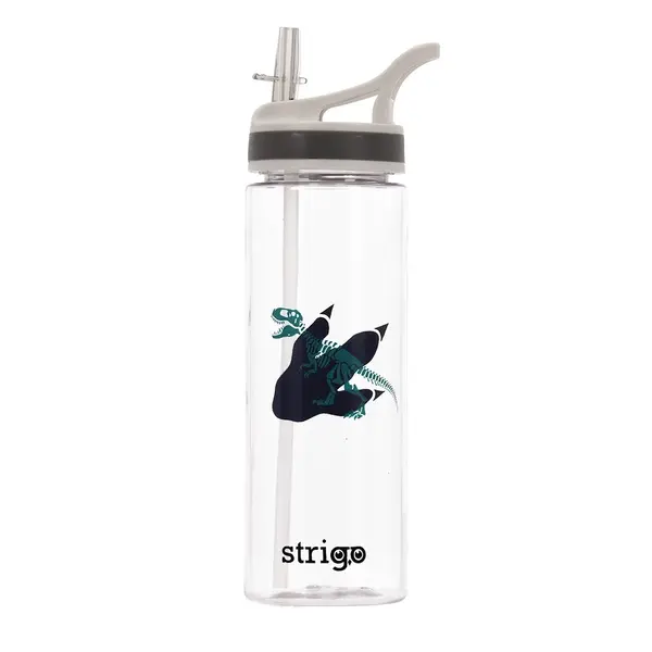 Bidon Strigo Dinosaur Collection, 600 ml