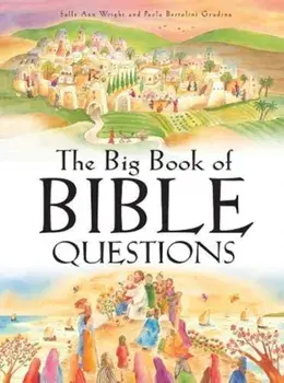 Big Book Of Bible Questions, Hardback/Sally Ann Wright