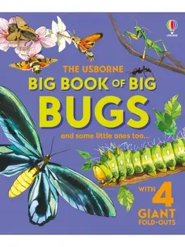 Big Book of Big Bugs, Hardback/Emily Bone