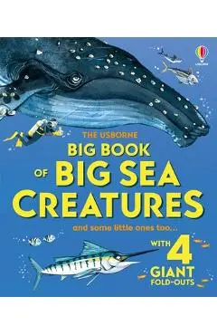 Big Book of Big Sea Creatures - Minna Lacey