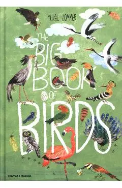 Big Book of Birds
