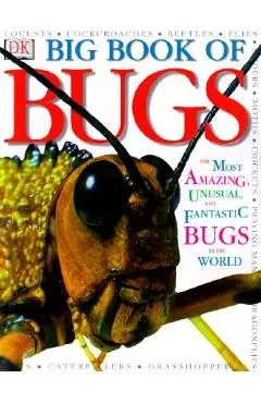 Big Book of Bugs - Dk
