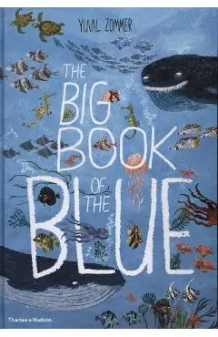 Big Book of the Blue