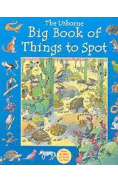 Big Book of Things to Spot - Ruth Brocklehurst