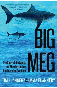 Big Meg: The Story of the Largest and Most Mysterious Predator That Ever Lived - Tim Flannery
