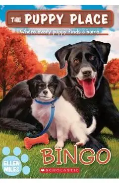 Bingo (the Puppy Place #65) - Ellen Miles
