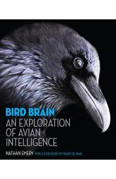 Bird Brain: An Exploration of Avian Intelligence - Nathan Emery